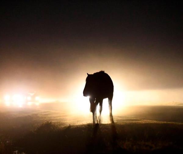 推荐一款“友友联盟有挂吗”其实确实有挂 推荐一款“友友联盟有挂吗”其实确实有挂