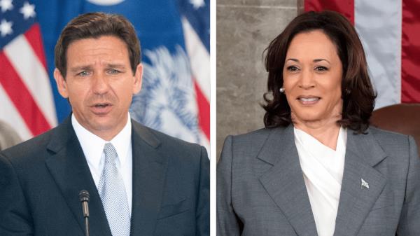 辅助神器“财神十三张透视开挂”其实确实有挂