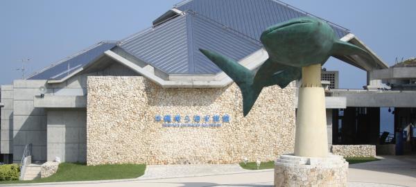 ShareChat将通过可转换债券融资5500 - 6500万美元,估值27亿美元 ShareChat将通过可转换债券融资5500 - 6500万美元,估值27亿美元