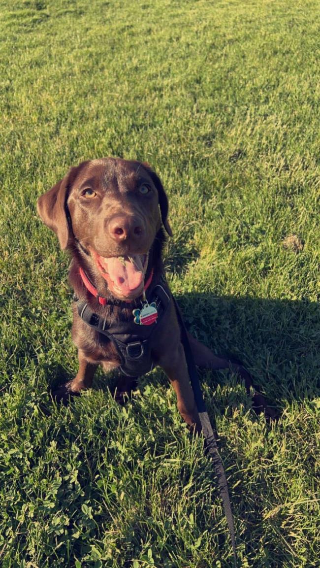 辅助神器“微乐山西麻将开挂教程”详细开挂玩法