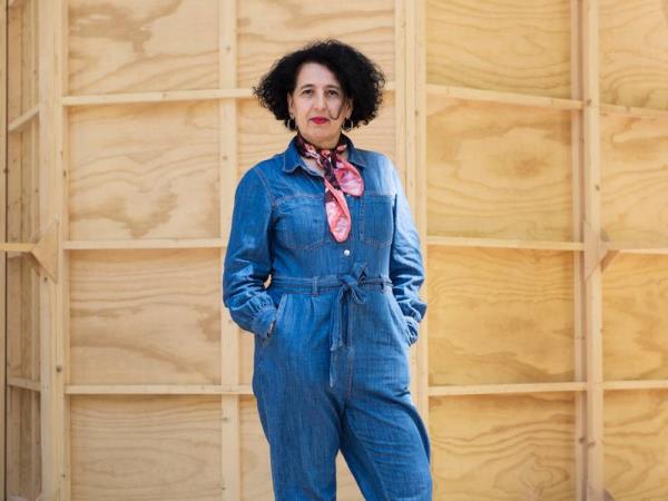 暗能量调查的最终超新星结果为宇宙膨胀提供了独特的见解