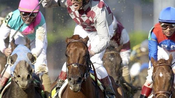 辅助神器“财神十三水怎么设置提高好牌率”(曝光透视必备猫腻)