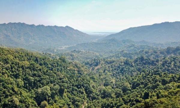 初露端倪的碳市场面临认证难题