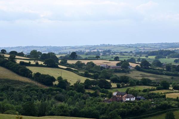 朱西·斯莫列特的仇恨犯罪骗局罪名成立