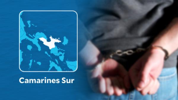 在南卡马里内斯的两名贩毒嫌疑人手中缴获超过185,000比索的涮布