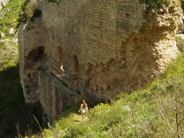 手球：阿拉比和杜海尔将在阿米尔杯决赛中相遇