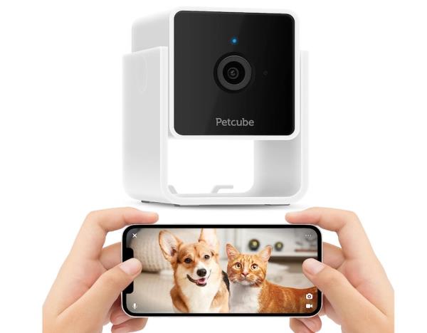 实测辅助“长虹大厅透视辅助”分享用挂教程 实测辅助“长虹大厅透视辅助”分享用挂教程