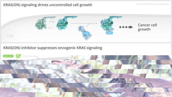 Baldur's Gate 3 Withers