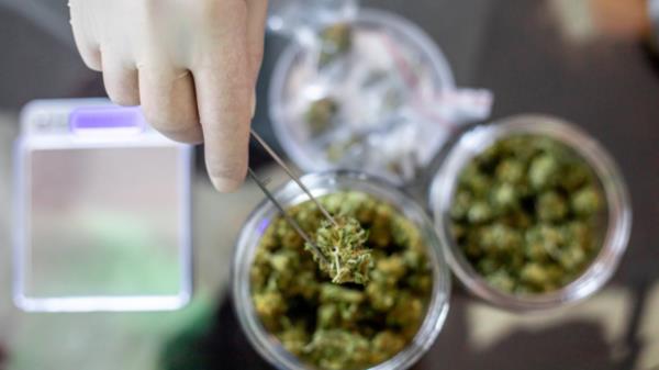 推荐一款“拱趴大菠萝怎么拿好牌”其实确实有挂