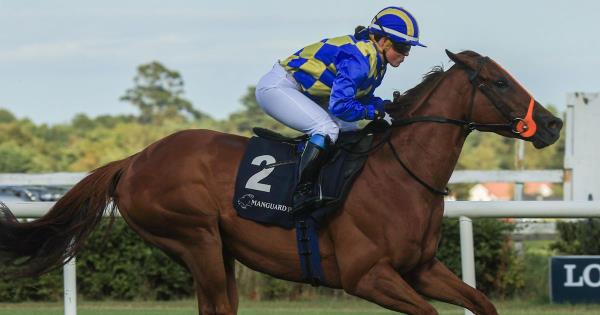 万能开挂辅助“越乡游斗牛修改器”详细开挂玩法 万能开挂辅助“越乡游斗牛修改器”详细开挂玩法