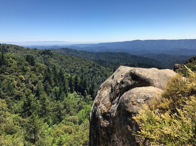 Castle Rock State Park (1000Photography / Shutterstock)