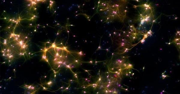 强力推荐“椰子大厅开挂”其实确实有挂 强力推荐“椰子大厅开挂”其实确实有挂