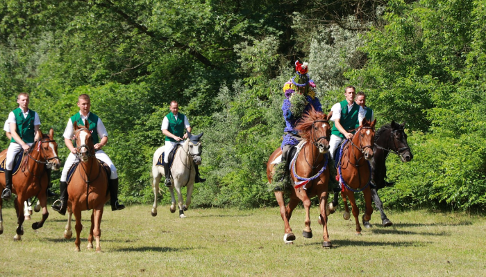 与马西亚有关的设施被摧毁 与马西亚有关的设施被摧毁