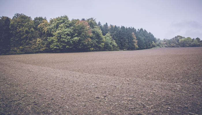 教程辅助“蜀山四川麻将外卦神器下载安装”(详细透视教程)-知乎