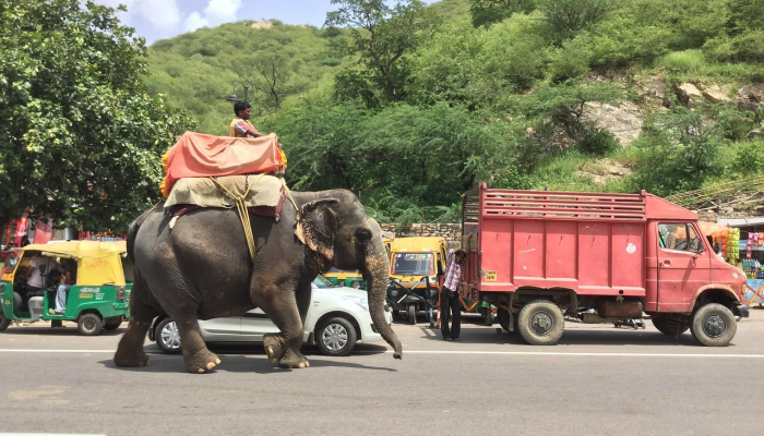做好面对洪水的准备,尤其是在洪水易发地区 做好面对洪水的准备,尤其是在洪水易发地区