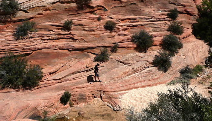 毛伊岛山火造成的死亡人数达到89人，是美国100多年来死亡人数最多的一次