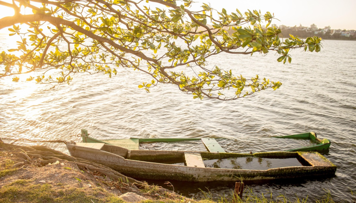 警戒!得梅因生活方式博主尝试在相亲节目《本地爱情》中击剑 警戒!得梅因生活方式博主尝试在相亲节目《本地爱情》中击剑