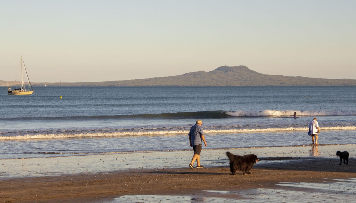 玩家辅助神器:“哥哥跑得快开挂神器下载安装”开挂(透视)辅助教程 玩家辅助神器:“哥哥跑得快开挂神器下载安装”开挂(透视)辅助教程