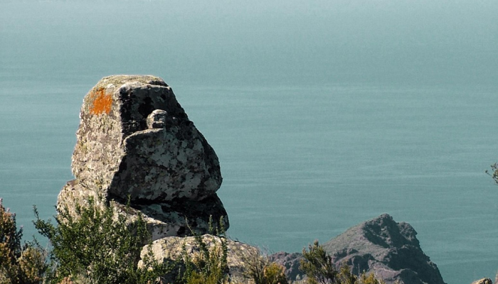 特内里费岛的野火是故意开始的