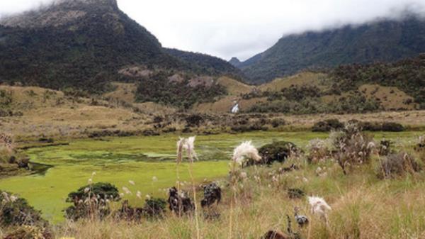 足球:恩里克希望巴黎圣日耳曼有三个姆巴佩 足球:恩里克希望巴黎圣日耳曼有三个姆巴佩