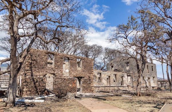 开挂辅助工具“椰子大厅开挂”分享用挂教程 开挂辅助工具“椰子大厅开挂”分享用挂教程