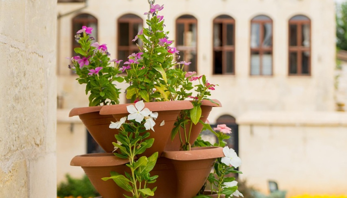 随着新变种抵达美国,加州的COVID-19传播和医院总数正在上升 随着新变种抵达美国,加州的COVID-19传播和医院总数正在上升