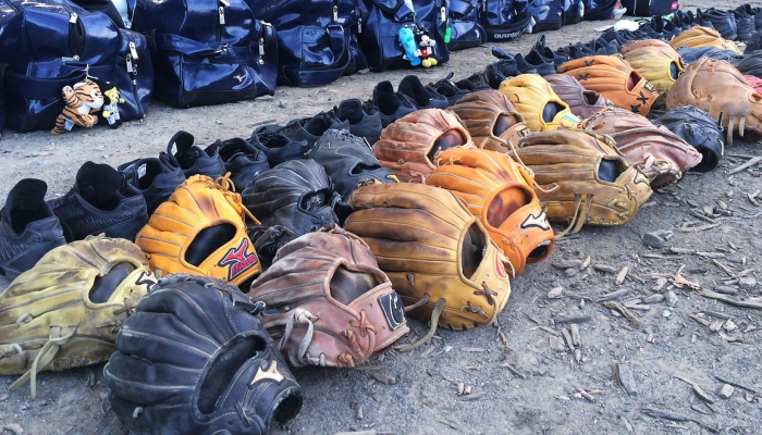 澳大利亚塔斯马尼亚州印度裔学生遇袭;目前处于昏迷状态 澳大利亚塔斯马尼亚州印度裔学生遇袭;目前处于昏迷状态