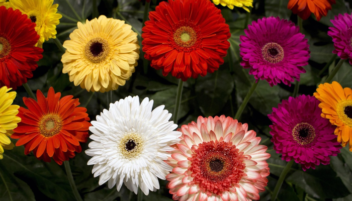 德里：父子被电死的亲属要求对私立医院采取行动