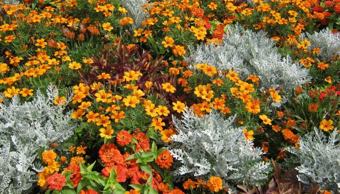 教程辅助“微乐麻将开挂器通用版!详细分享装挂步骤 教程辅助“微乐麻将开挂器通用版!详细分享装挂步骤