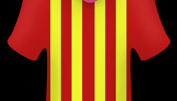 救世主基督穿着贝利的球衣参加足球运动员逝世纪念日