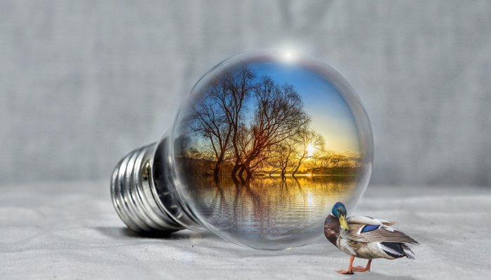 推荐一款”扑克王八阵摆开了怎么算卦!分享用挂教程