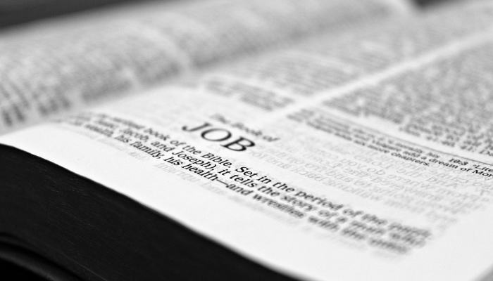 教程辅助!“正版卡农大厅有卦嘛”(原来确实是有挂) 教程辅助!“正版卡农大厅有卦嘛”(原来确实是有挂)