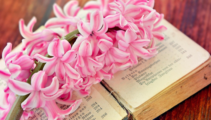 推荐一款“春天扑克牌怎么开挂”(详细透视教程)-知乎