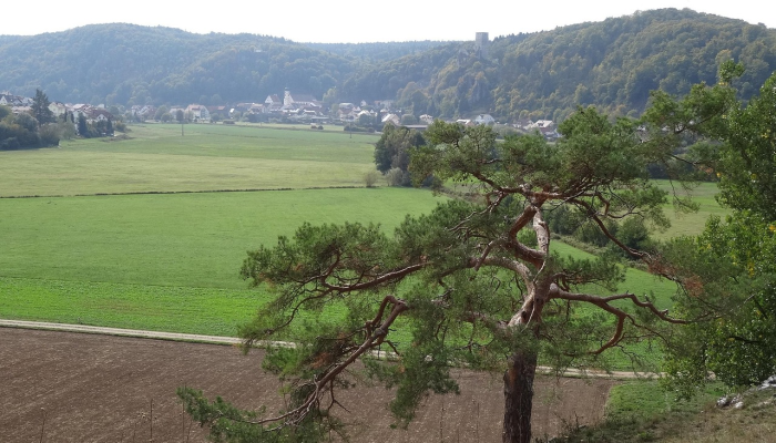 法国比利牛斯山脉的农民通过维护自然景观而获得报酬