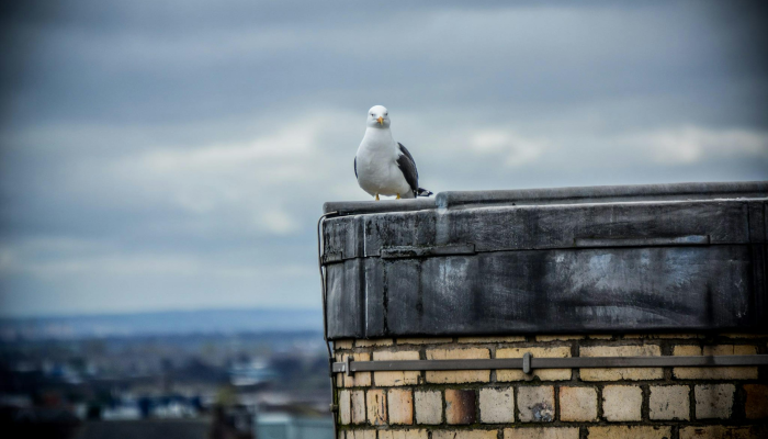 在令人难忘的决赛一年之后,因凡蒂诺回忆起“有史以来最好的世界杯” 在令人难忘的决赛一年之后,因凡蒂诺回忆起“有史以来最好的世界杯”