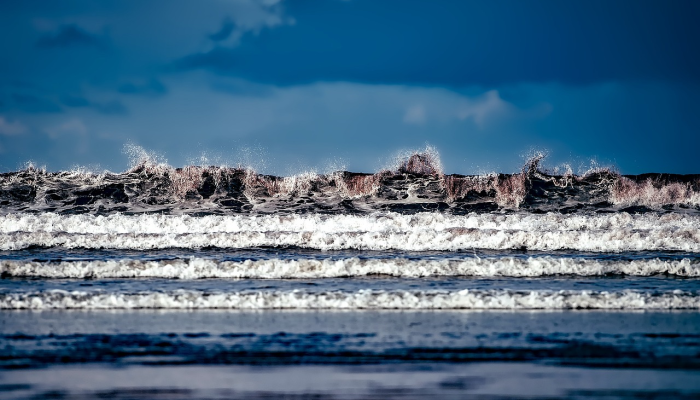 最新教你“新九哥斗牛透视软件”详细开挂玩法