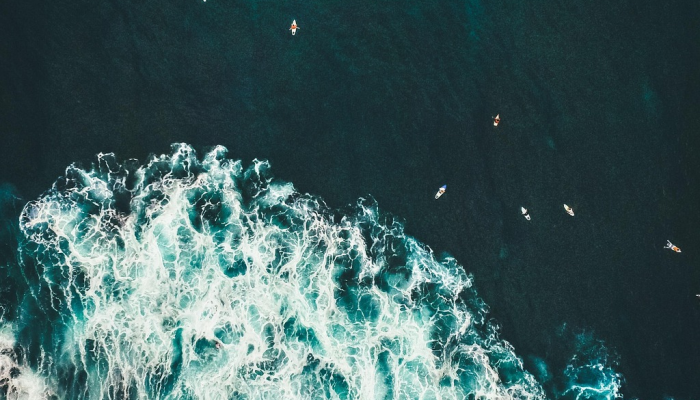 强力推荐“新鸿狐大厅透视挂”其实确实有挂