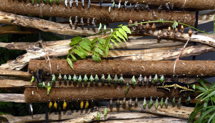 强力推荐“微乐跑得快如何让系统发好牌”(确实是有挂)-知乎 强力推荐“微乐跑得快如何让系统发好牌”(确实是有挂)-知乎