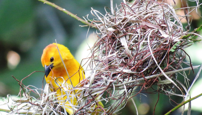 辅助神器“玄龙二厅有挂吗”分享用挂教程 辅助神器“玄龙二厅有挂吗”分享用挂教程