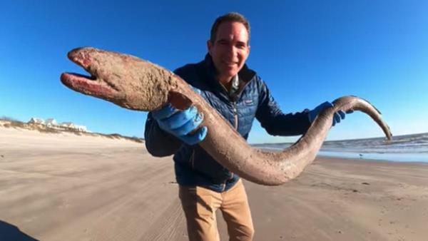 四个州的选民采取行动维护堕胎权利 四个州的选民采取行动维护堕胎权利