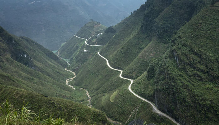 宝莱坞庆祝摇摆的一年,在动作电影,肆无忌惮的男子气概和厌女症中高高在上 宝莱坞庆祝摇摆的一年,在动作电影,肆无忌惮的男子气概和厌女症中高高在上