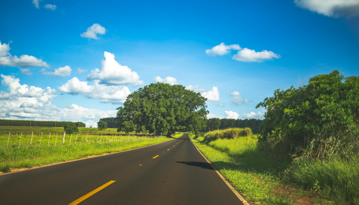玩家必看教程“蛮王大厅可以开挂吗”其实确实有挂
