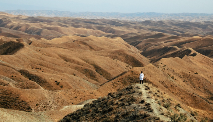 在夏洛特的带领下，塞尔日·甘斯布的家终于开门了