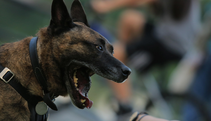 辅助神器“微乐陕西麻将有没有规律”详细开挂玩法