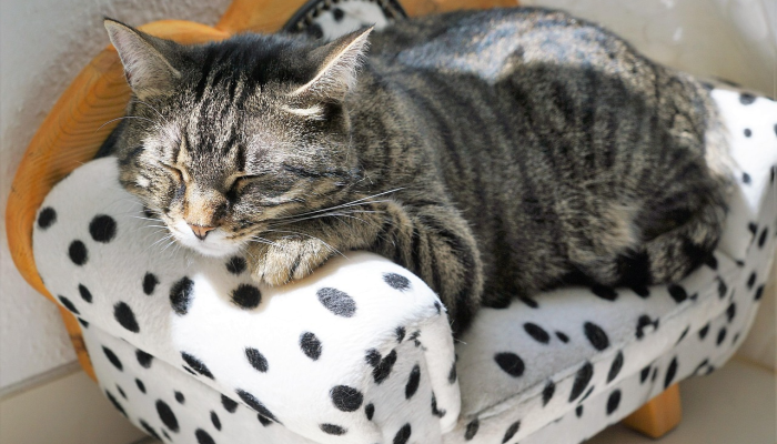 北韩正在讨论改善地区经济的后续措施 北韩正在讨论改善地区经济的后续措施