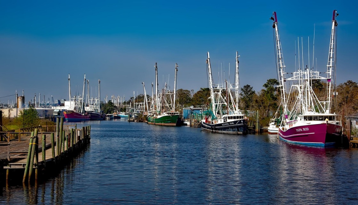 帕尔默原则,伯明翰的技术,准备转移到阿拉巴马州 帕尔默原则,伯明翰的技术,准备转移到阿拉巴马州