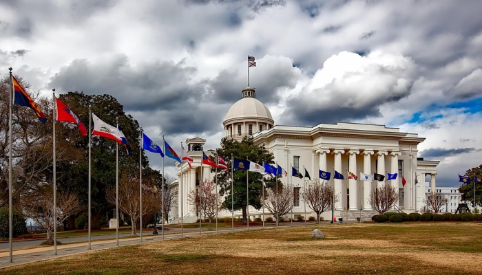 实测辅助“新鸿狐大厅有挂吗”(原来确实是有挂) 实测辅助“新鸿狐大厅有挂吗”(原来确实是有挂)