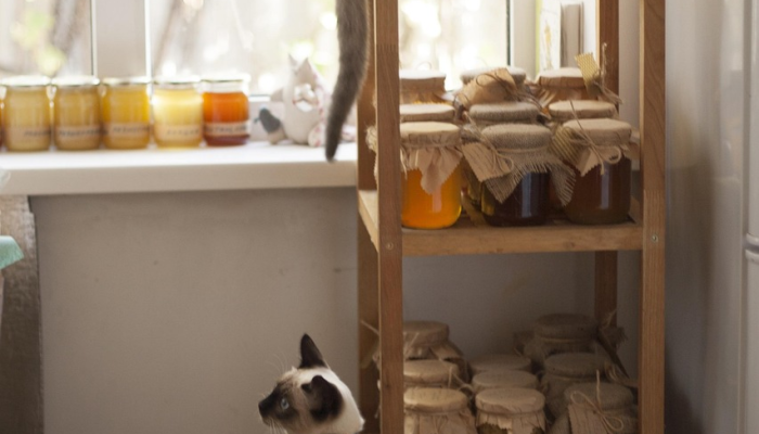 玩家辅助神器:“情怀麻将外卦神器下载安装”详细开挂玩法 玩家辅助神器:“情怀麻将外卦神器下载安装”详细开挂玩法