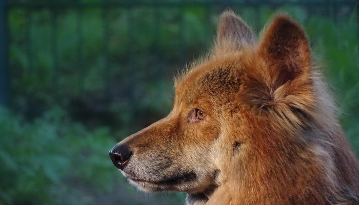 北韩正在讨论改善地区经济的后续措施 北韩正在讨论改善地区经济的后续措施