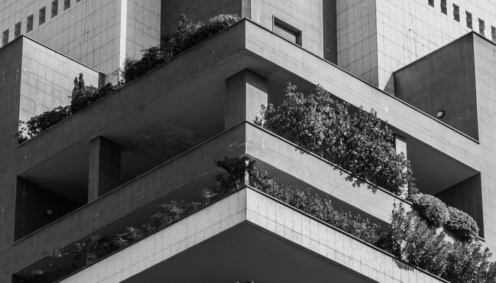 辅助神器“微乐麻将开挂下载!分享用挂教程